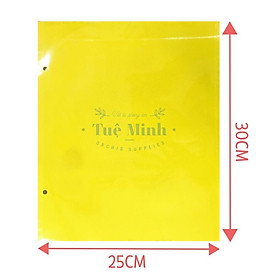 Mua MIẾNG DÁN SIÊU DÍNH RUỒI VÀNG BẢN TO 30X25 - BẪY RUỒI VÀNG VÀ CÁC LOẠI CÔN TRÙNG GÂY HẠI CÂY LAN  HOA MÀU  CÂY ĂN TRÁI