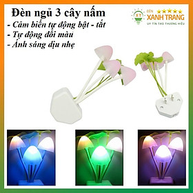 Mua Đèn ngủ cảm biến 3 cây nấm đổi màu tự động bật tắt đèn đổi màu
