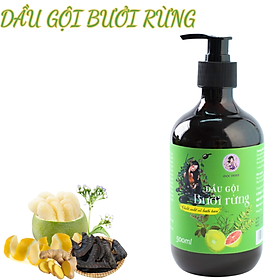 Dầu Gội Bưởi Rừng - Kích Thích Mọc Tóc 500ml