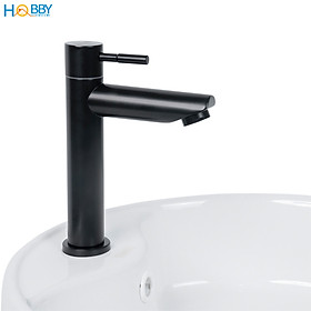 Mua Vòi chậu rửa mặt lavabo lạnh Inox 304 sơn đen Hobby Home Decor LBL4D