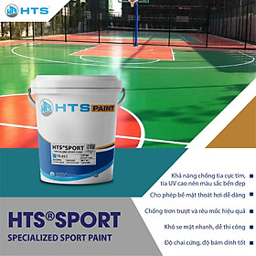 Mua Sơn Chuyên Dụng Sân Thể Thao HTS SPORT cho sân Pickleball  Tennis  Cầu lông  Bóng rổ  Tennis  sân khác