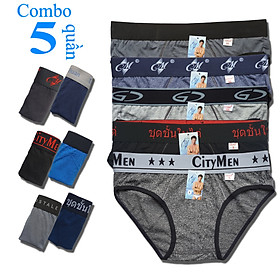 Combo 5 Quần Lót Nam cao cấp | quần xì nam | quần sịp nam | nhiều lưng | vải cotton 2 chiều | hiệu CM | lưng lớn | cạp to | kiểu brief | tam giác truyền thống | đồ lót nam
