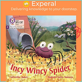 Hình ảnh Sách - Incy Wincy Spider - Foundations for Phonics by Andrea Castro Naranjo (UK edition, paperback)