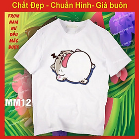 áo thun mèo cat ami bụng bự m12,chất đẹp, bao đổi trả , meo meo