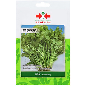 Hạt giống rau cần tây - Nhập khẩu Thái Lan nguyên bao bì - gói 400 hạt - A5872
