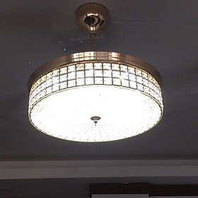 Mua Quạt trần dấu cánh 204011