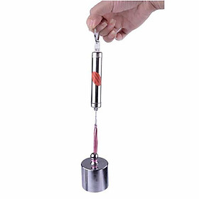 Mua Cân móc mini bỏ túi 5kg FS-813