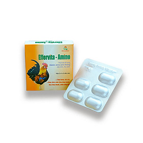 Vemedim Effervita-Amino bổ sung vitamin, amino acid, khoáng cho chim, thú cảnh - Hộp 10v