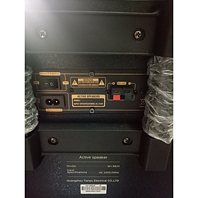 Mua Loa Kéo Karaoke MALATA 9824 ( Mẫu Đặc Biệt Bas Đôi 3 tấc ) - Hàng chính hãng MALATA