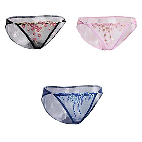 3Pcs Womens Lace Mesh Flower Embroidered Underwear Low Rise Briefs Lingerie