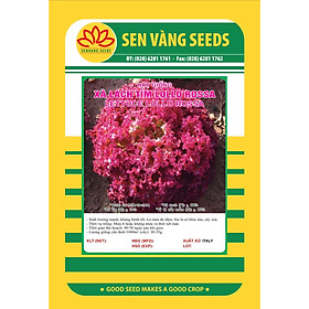 02 gói Hạt giống xà lách xoăn tím cao sản - Lollo Rossa VTS102