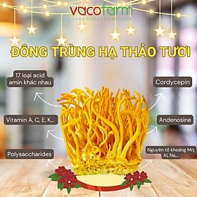 COMBO 7 hộp Nấm tươi Đông trùng hạ thảo khối lượng 200gram/hộp [Mua 5 tặng 2]