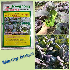Mua 500 HẠT GIỐNG CẢI THÌA TÍM TRANG NÔNG TN308