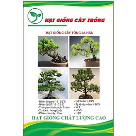 Hạt giống cây tùng la hán CT366 - Gói 10 hạt