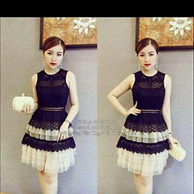 Đầm ren hoa văn nỗi lưới dập ly