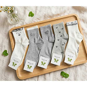 SET 5 ĐÔI TẤT VỚ NỮ CAO CỔ MÃ 17 DÀNH CHO NỮ