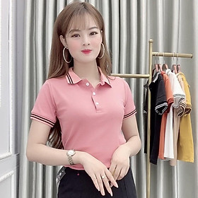 Áo Thun Polo Nữ Trơn Phông Basic Tay Ngắn Cổ Bẻ Cotton Trẻ trung đơn giản 6 Màu Trắng Đen Cam Vàng - Hanlly Fashion A21