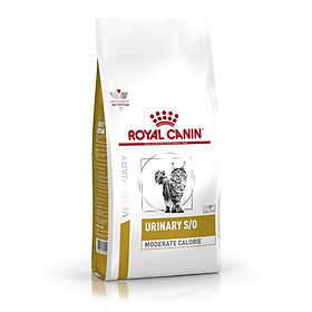 thức ăn hạt Urinary S O hãng royal canin dành cho mèo bị sỏi thận hoặc