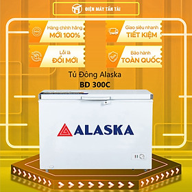 Mua Tủ Đông Alaska BD-300C (205L) - Hàng chính hãng