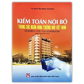 Sách – Kiểm Toán Nội Bộ Trong Các Ngân hàng Thương Mại Việt Nam (DN)
