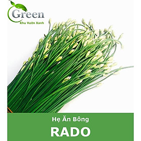 Mua Hạt Giống Hẹ Ăn Bông