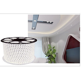 Mua Đèn led dây 2835 loại 2 hàng led chống nước trang trí trong nhà ngoài trời  20 mét tặng kèm nguồn
