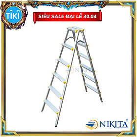 Mua Thang nhôm gia đình R06 6 bậc - Hàng phân phối