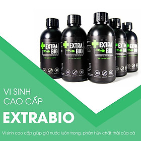 Vi Sinh Extrabio - Vi Sinh Hồ Cá Cảnh hồ Thuỷ Sinh
