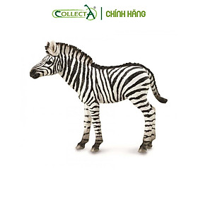 Mô hình thu nhỏ Ngựa Vằn con - Zebra Foal , hiệu CollectA, mã HS 9651071