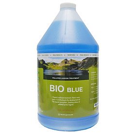 Bio Blue Vi sinh xử lý ao hồ bị ô nhiễm