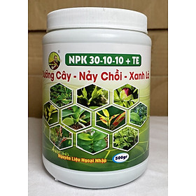Mua Phân bón vi lượng NPK 30-10-10+TE dưỡng cây-nảy chồi- xanh lá - chai 500 gram bomax