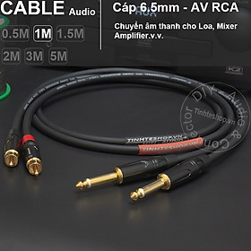 Mua Dây 6 ly ra hoa sen AV 1 cặp DIY 0.5 đến 5 mét - 1/4 mono to RCA cable