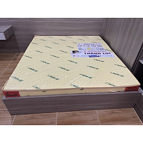 Nệm cao su non Thắng Lợi size 1m6x2mx10cm