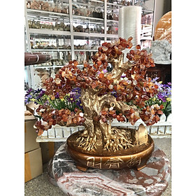 Cây Tài Lộc bonsai phong thủy đá mã não đỏ - Cao 40 cm