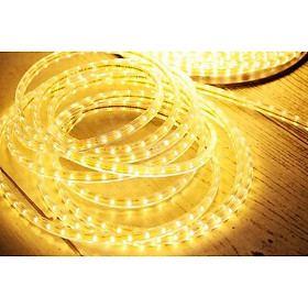 Mua Đèn led dây đôi 2835 ĐƠN MÀU GIÁ 1 CUỘN 100M