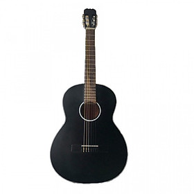 Đàn guitar classic tập chơi SV650C