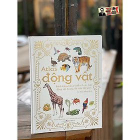 (Bìa cứng, in màu toàn bộ) A.TLAS ĐỘNG VẬT - Barbara Taylor - Kenneth Lilly minh họa – Lê Thu Hằng dịch - Đông A - NXB Dân Trí