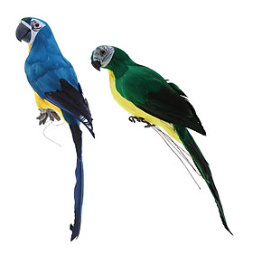 Acituna 2cs Thực Tế Vẹt Macaw Lông Vũ Nhân Tạo Chim Thú Vật Trang Trí Đồ Chơi Trẻ Em