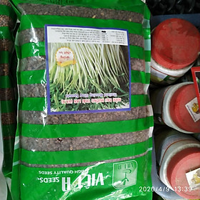 Hạt giống rau mầm rau muống Thái Lan 1kg