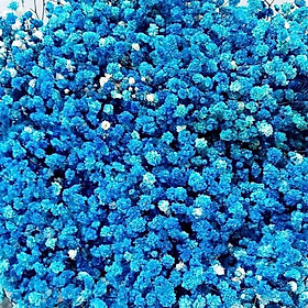Mua 120G Hoa khô trang trí  hoa khô decor hoa khô babi hoa khô mini bó 120G hoa khô baby hoa baby khô