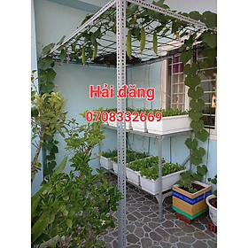 Mua Khung giàn trồng bầu bí mướp bộ khung giàn đa năng tiện lợi trồng cây thân leo  hiệu quả tiện ích