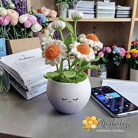 Chậu hoa mini decor bàn làm việc– Quà tặng xinh xắn
