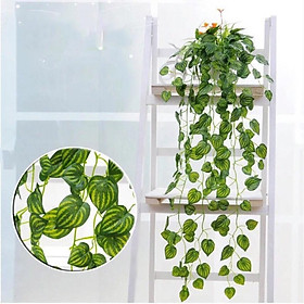 Mua Chùm lá trầu bà giả treo tường trang trí nhà cửa  nhà hàng  quán cà phê xanh mát  tự nhiên TB-01