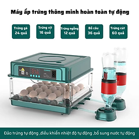 Mua Máy ấp trứng mini thông minh Hàng chính hãng tự đảo thay nước MAT-09