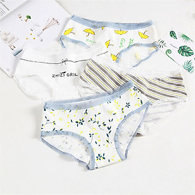 Bộ 4 Quần Lót Cotton Nữ Sắc Màu Nhiệt Đới Zhizi Girl Cạp Quần Ren Quyến Rũ - Phong Cách Thiếu Nữ Nhật Hàn Nhẹ Nhàng Dễ Thương - Vải Cotton Mỏng Nhẹ Không Hằn Da - Thấm Hút Mồ Hôi Siêu Thoáng Khi