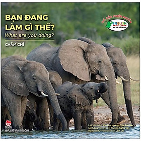 Gõ Cửa Thiên Nhiên: Bạn Đang Làm Gì Thế? Chăm Chỉ - What Are You Doing?