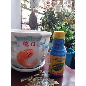 Mua b1-kích rễ-đâm chồi  phân bón lá (grow more) 35k/100ml lọ.