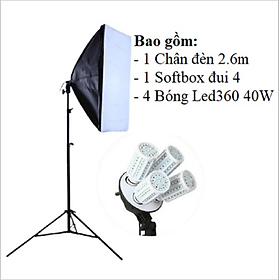 Mua Softbox 50x70cm Đui 4 Bóng Xoáy E27  Phụ Kiện Studio  Đèn Softbox Chụp Ảnh