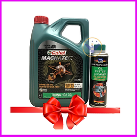 Dầu nhớt ô tô tổng hợp toàn phần Castrol Magnatec 5W-30 API SP/CF Can 4L+Súc rửa động cơ Bluechem