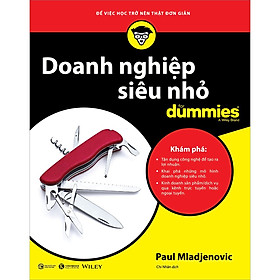 [Download Sách] Doanh Nghiệp Siêu Nhỏ (for Dummies)